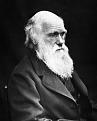 Click image for larger version

Name:	charles_darwin.jpg
Views:	2171
Size:	35.1 KB
ID:	1642