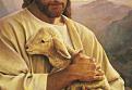 Click image for larger version

Name:	lost sheep.jpg
Views:	2136
Size:	69.6 KB
ID:	1684