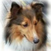 Ressmont's Avatar
