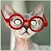 Jill's Avatar